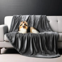 Petzo Premium Sofa Protector Blanket