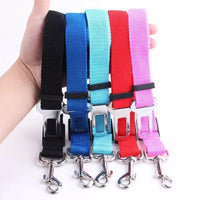 Petzo Safety Harness & Seat Belt Kit